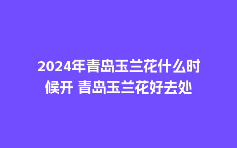 2024年青岛玉兰花什么时候开 青岛玉兰花好去处