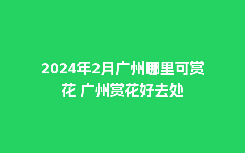 2024年2月广州哪里可赏花 广州赏花好去处