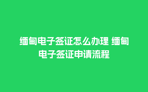 缅甸电子签证怎么办理 缅甸电子签证申请流程