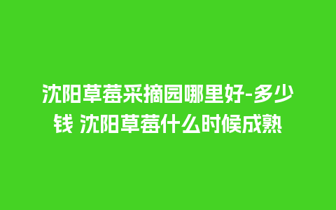 沈阳草莓采摘园哪里好-多少钱 沈阳草莓什么时候成熟