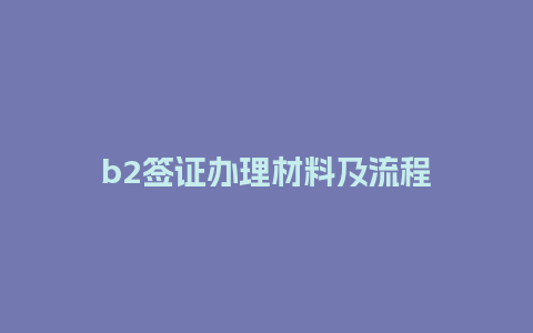 b2签证办理材料及流程