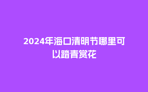 2024年海口清明节哪里可以踏青赏花