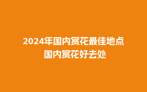 2024年国内赏花最佳地点 国内赏花好去处