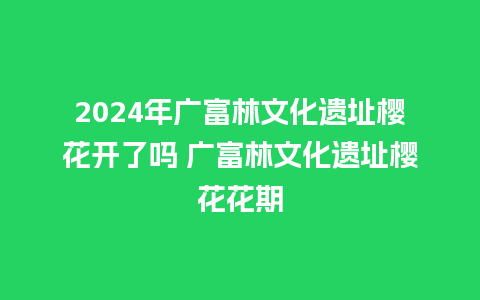 2024年广富林文化遗址樱花开了吗 广富林文化遗址樱花花期