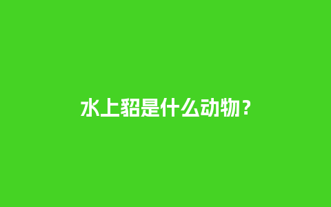 水上貂是什么动物？