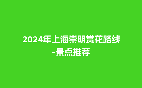 2024年上海崇明赏花路线-景点推荐