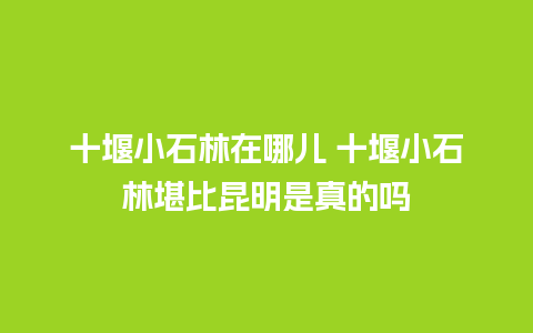 十堰小石林在哪儿 十堰小石林堪比昆明是真的吗