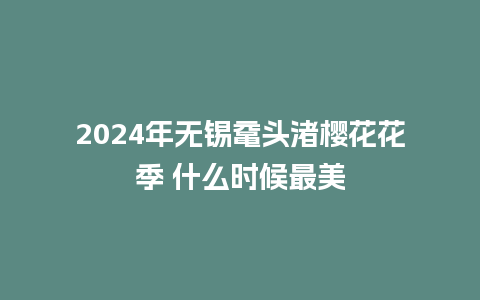 2024年无锡鼋头渚樱花花季 什么时候最美