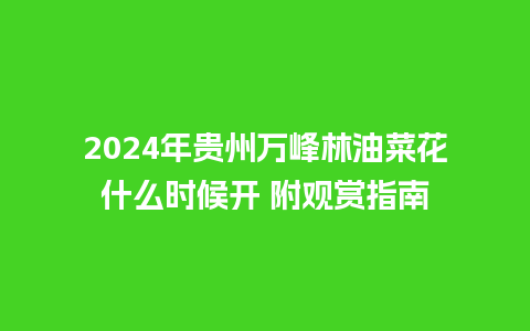 2024年贵州万峰林油菜花什么时候开 附观赏指南