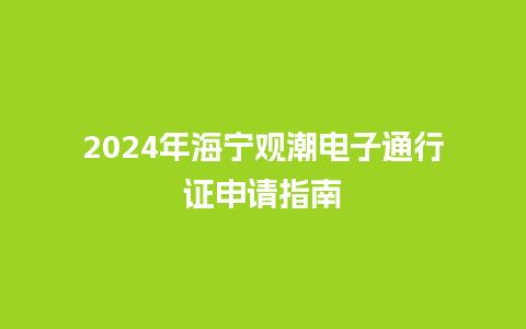 2024年海宁观潮电子通行证申请指南