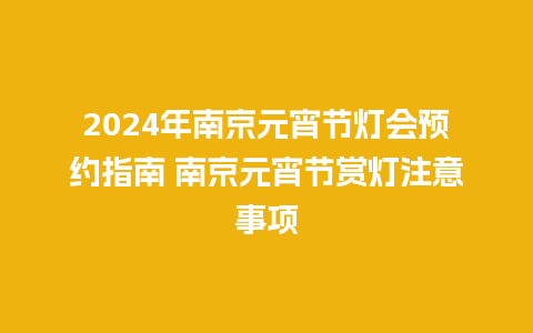 2024年南京元宵节灯会预约指南 南京元宵节赏灯注意事项