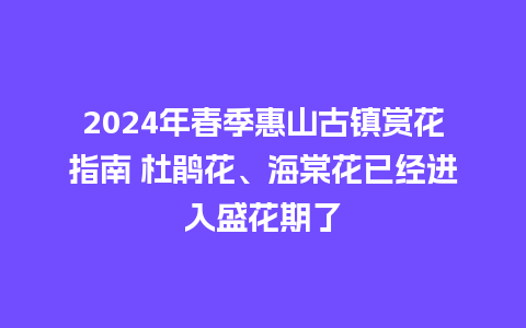 2024年春季惠山古镇赏花指南 杜鹃花、海棠花已经进入盛花期了