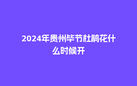 2024年贵州毕节杜鹃花什么时候开