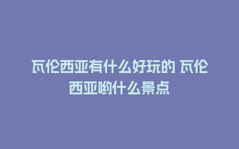 瓦伦西亚有什么好玩的 瓦伦西亚哟什么景点