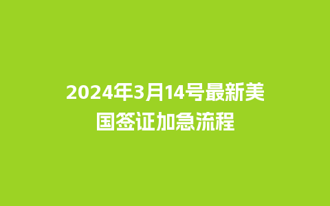 2024年3月14号最新美国签证加急流程