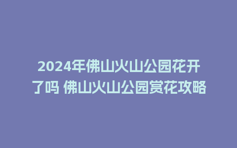 2024年佛山火山公园花开了吗 佛山火山公园赏花攻略