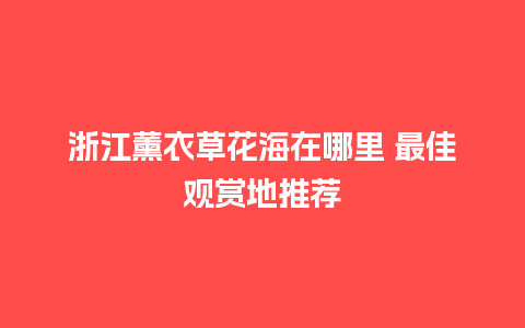 浙江薰衣草花海在哪里 最佳观赏地推荐