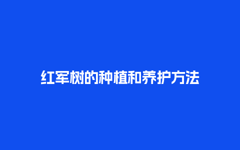 红军树的种植和养护方法