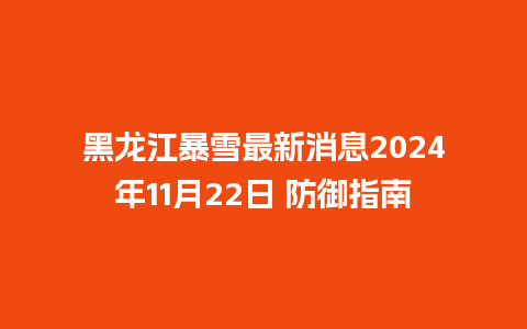 黑龙江暴雪最新消息2024年11月22日 防御指南