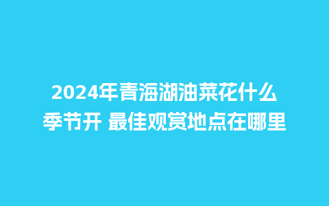 2024年青海湖油菜花什么季节开 最佳观赏地点在哪里