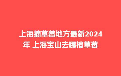 上海摘草莓地方最新2024年 上海宝山去哪摘草莓