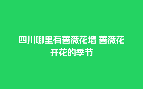 四川哪里有蔷薇花墙 蔷薇花开花的季节