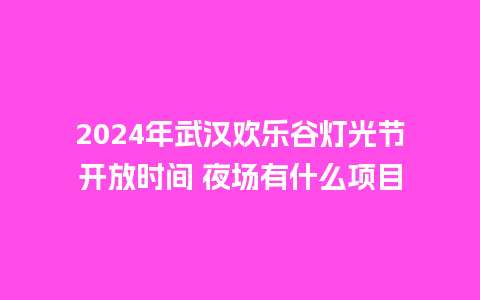 2024年武汉欢乐谷灯光节开放时间 夜场有什么项目