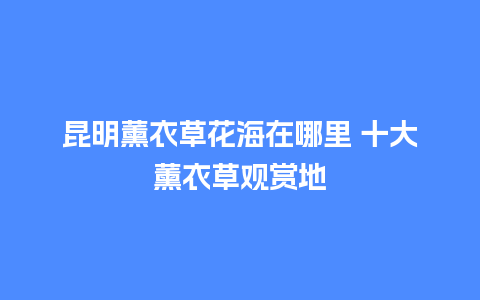 昆明薰衣草花海在哪里 十大薰衣草观赏地