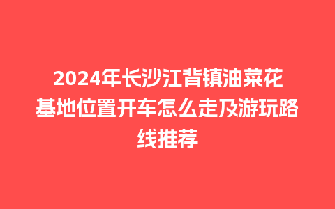 2024年长沙江背镇油菜花基地位置开车怎么走及游玩路线推荐