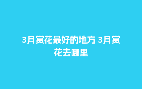 3月赏花最好的地方 3月赏花去哪里