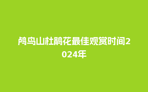 鸬鸟山杜鹃花最佳观赏时间2024年