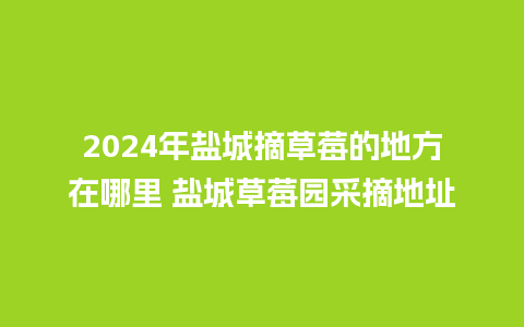 2024年盐城摘草莓的地方在哪里 盐城草莓园采摘地址