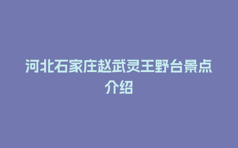 河北石家庄赵武灵王野台景点介绍