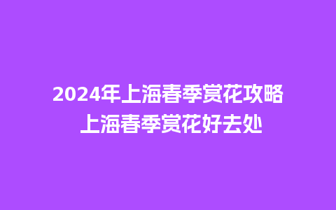 2024年上海春季赏花攻略 上海春季赏花好去处