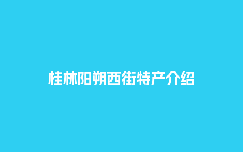 桂林阳朔西街特产介绍