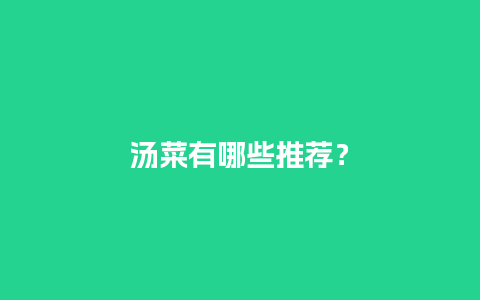 汤菜有哪些推荐？