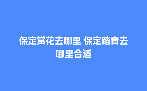 保定赏花去哪里 保定踏青去哪里合适