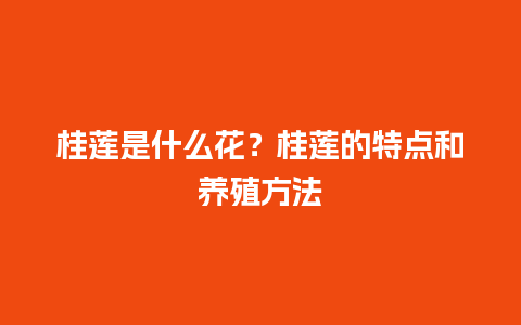 桂莲是什么花？桂莲的特点和养殖方法