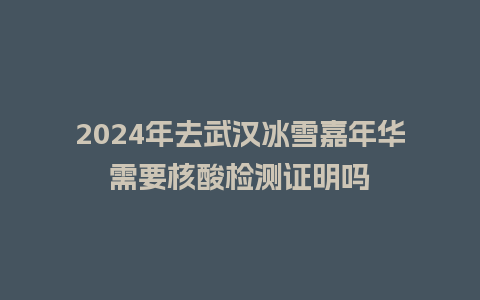 2024年去武汉冰雪嘉年华需要核酸检测证明吗