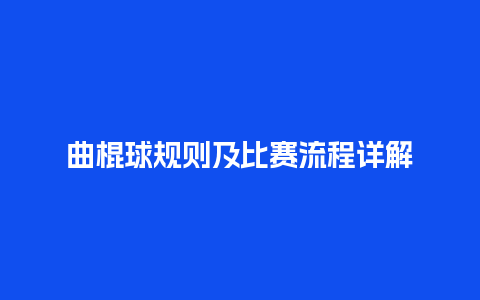 曲棍球规则及比赛流程详解