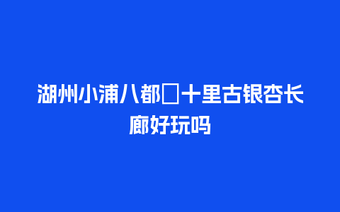 湖州小浦八都岕十里古银杏长廊好玩吗