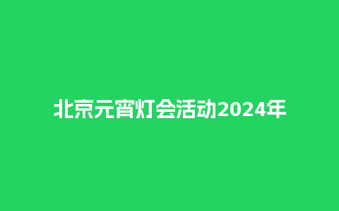 北京元宵灯会活动2024年