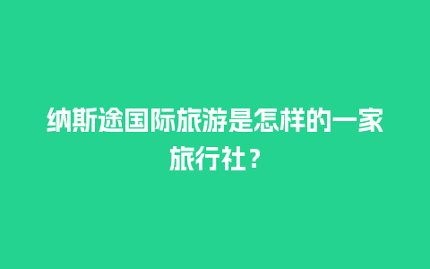 纳斯途国际旅游是怎样的一家旅行社？