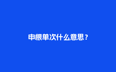 申根单次什么意思？