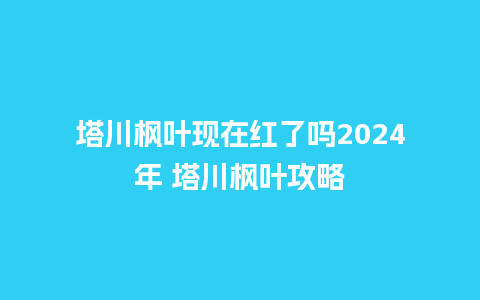 塔川枫叶现在红了吗2024年 塔川枫叶攻略