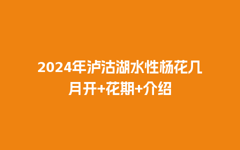 2024年泸沽湖水性杨花几月开+花期+介绍