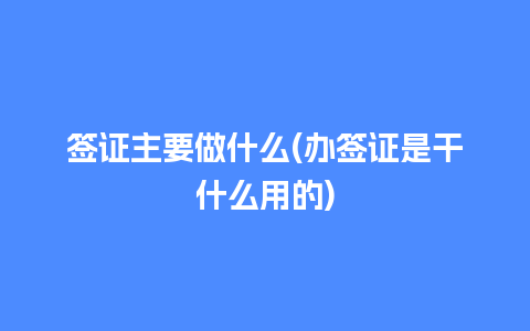 签证主要做什么(办签证是干什么用的)