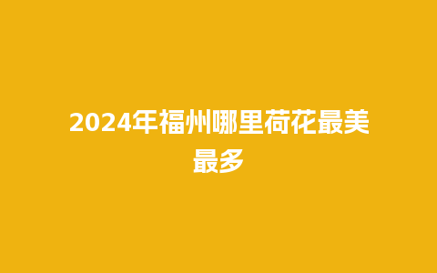 2024年福州哪里荷花最美最多