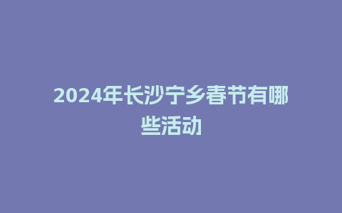 2024年长沙宁乡春节有哪些活动