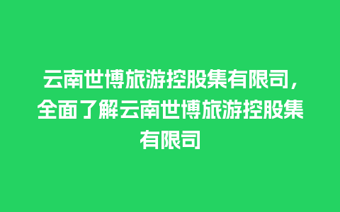 云南世博旅游控股集有限司，全面了解云南世博旅游控股集有限司